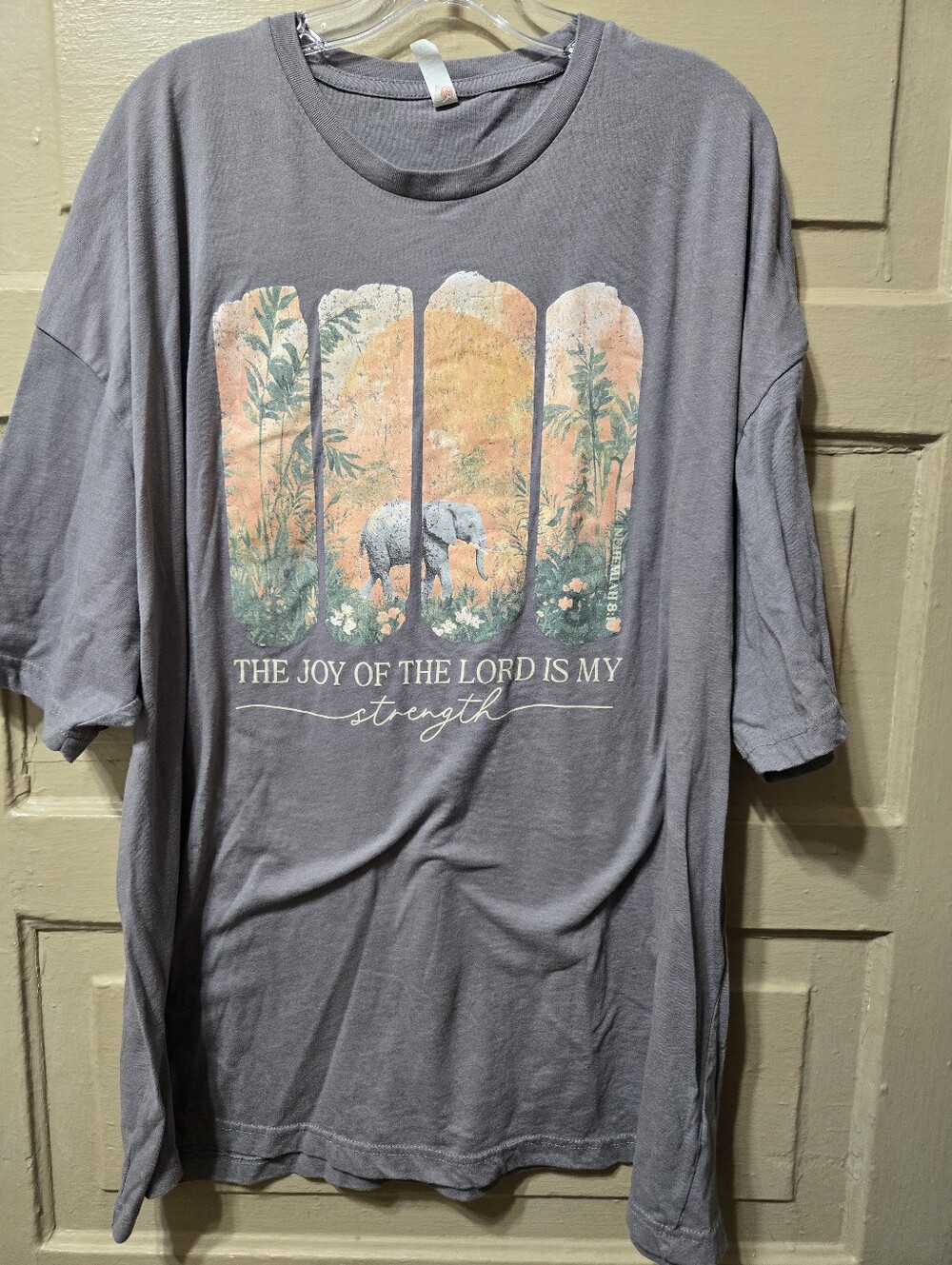 Love In Faith The Joy Of The Lord Is My Strength Graphic Tshirt GUC